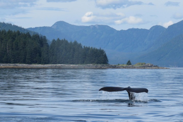 a body of water with a mountain in the background