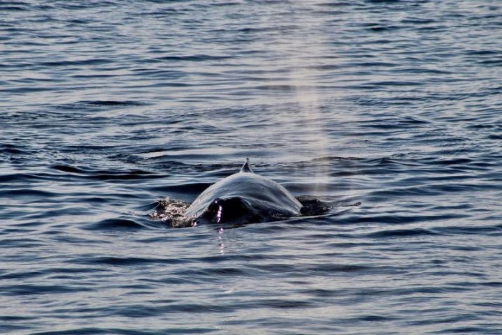 a bird swimming in water next to a body of water