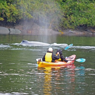 a man riding on the back of a boat in a body of water