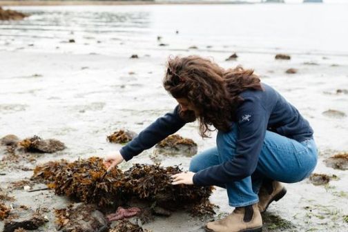 a person sitting on a rock next to a body of water