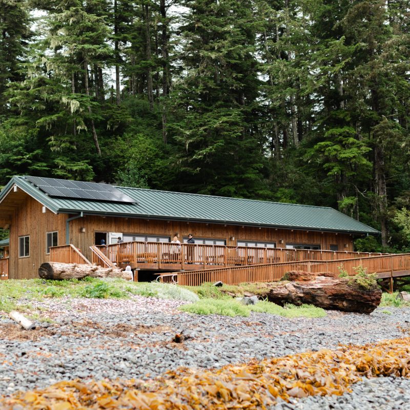 a small house surrounded by trees