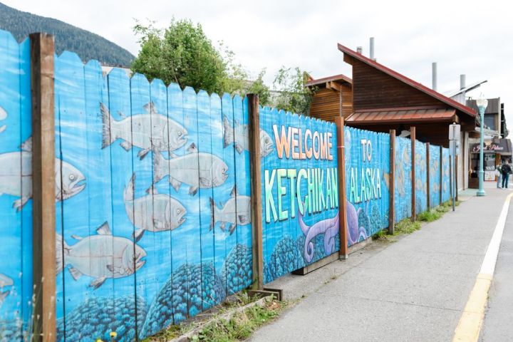 a train on a track with graffiti on the side of a fence