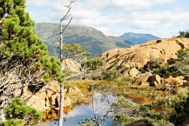 a rocky mountain with trees in the background