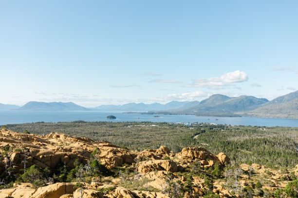 a field with a mountain in the background