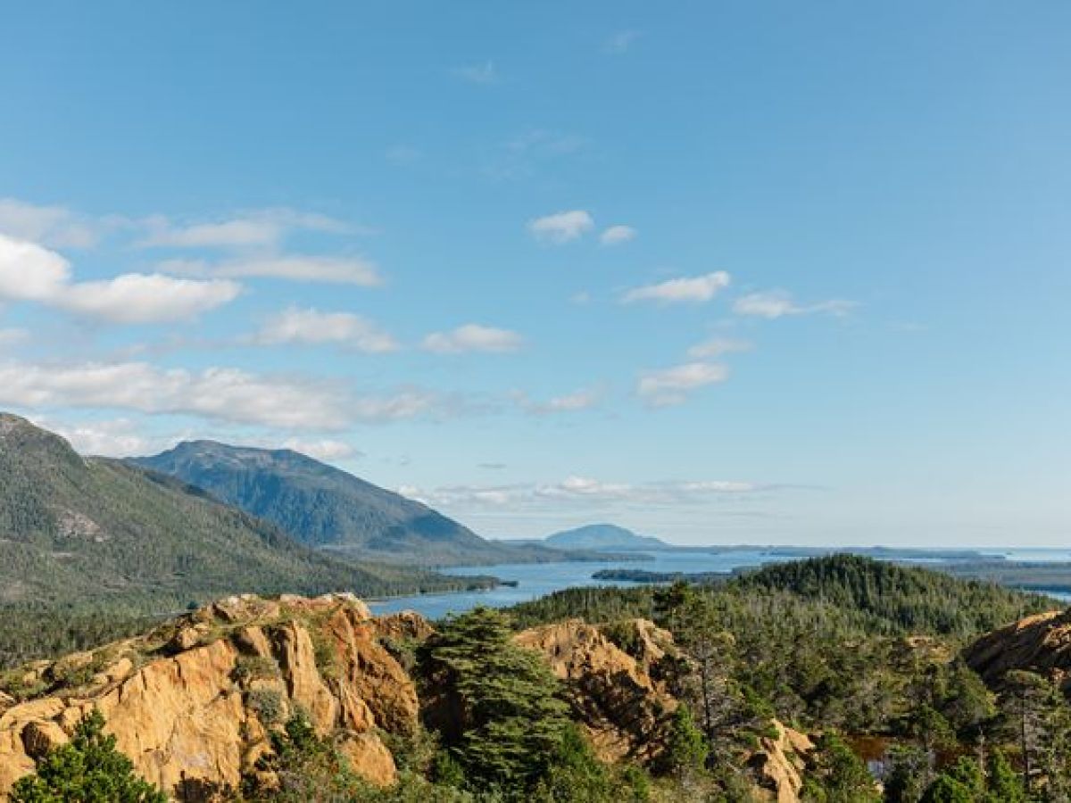 a large mountain in the background