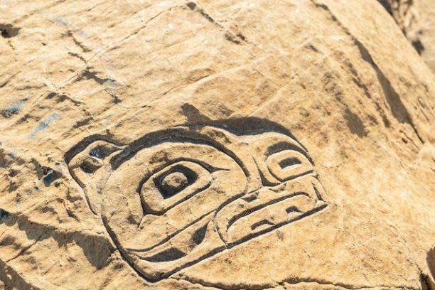 a close up of a rock