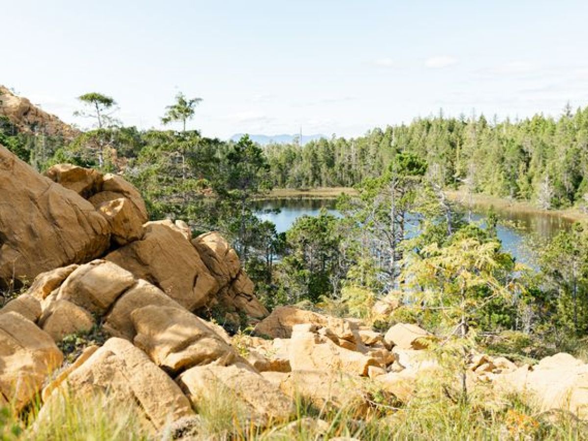 a herd of animals grazing on a rocky hill