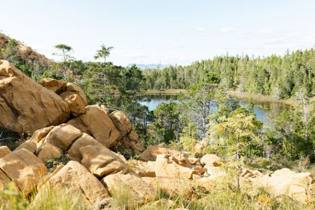 a herd of animals grazing on a rocky hill