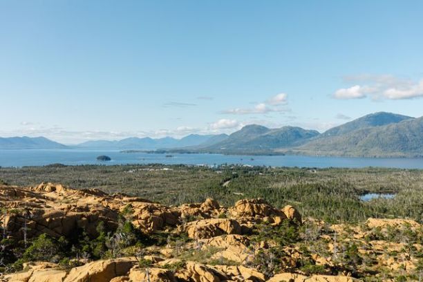 a herd of sheep standing on top of a mountain