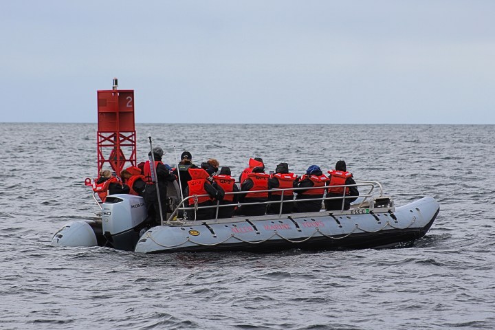 Group on a small boat in the ocean wearing red life vests.