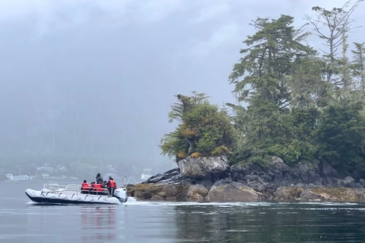 Small boat with people near a misty island with dense trees.