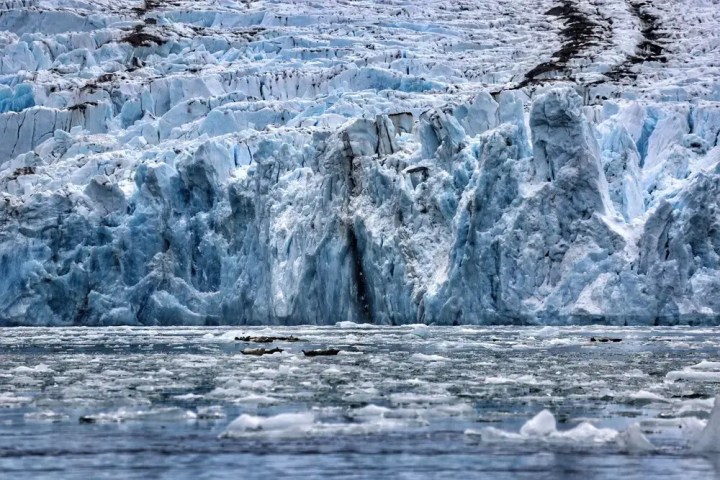 Icy glacier meeting a cold, debris-laden sea under a clear sky.